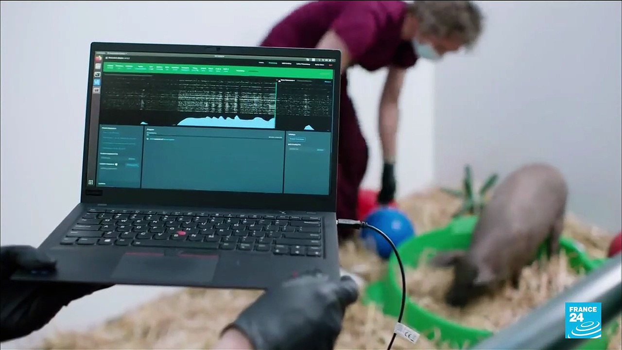 Neuralink : la start-up d'Elon Musk autorisée à réaliser des tests sur des humains