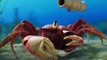 The Little Mermaid - Final Trailer (2023) Halle Bailey & Jonah Hauer Disney+