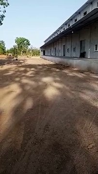 Administrator and Tehsildar inspected, wheat was not found at the center