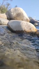 Jim Corbett || Uttrakhand || River View || India