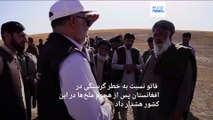 فائو هشدار داد: گرسنگی همزمان با هجوم ملخ‌ها افغانستان را تهدید می‌کند