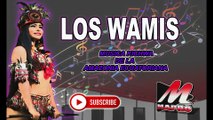 Los  Wamis  Mix Vol.1/Música Kichwa de la Amazonia  (Mapro)