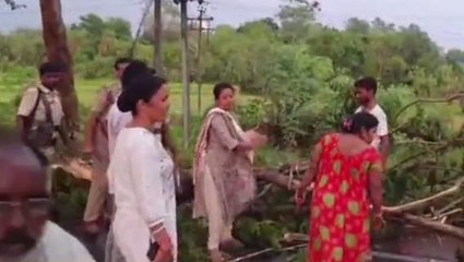 বাঁকুড়াঃ চাঞ্চল্যকর দৃশ্য! রাজ্য সড়কের পড়ে থাকা গাছ সরাচ্ছেন মন্ত্রী...video