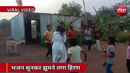 VIDEO : भजन सुनकर उछल-उछल कर नाचने लगा हिरण