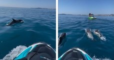 Au large de la Côte d'Azur, ce groupe de jet-skis a passé un moment incroyable avec une cinquantaine de dauphins