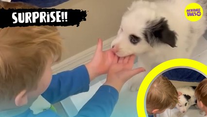ADORABLE REACTION as young boys meet puppy for the first time!