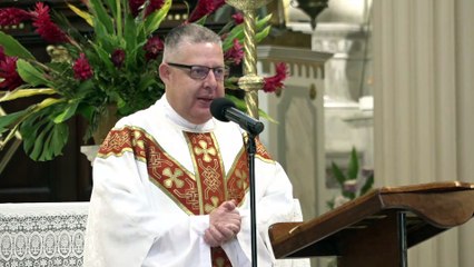 Santa Misa - 23-05-2023 - Catedral Metropolitana