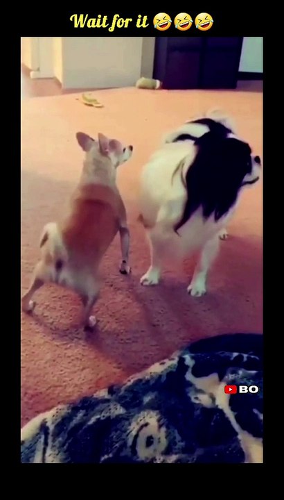 Innocent boy gets Trapped
