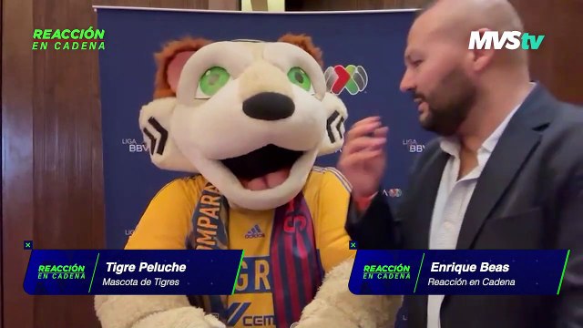 ¿Quién opina Tigre Peluche que ganará la final entre Tigres y Chivas?