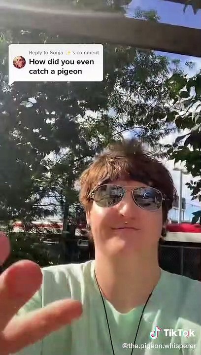 Owl Horned Barn Barred Gray #owl #owlhorned