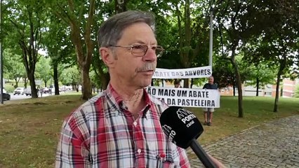 Download Video: Associação em luta contra o abate de mais de 100 árvores no Porto