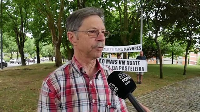 Associação em luta contra o abate de mais de 100 árvores no Porto