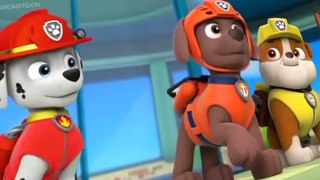 Paw Patrol: Marshall & Chase on the Case Paw Patrol: Marshall & Chase on the Case E004 Windows Title 03_04