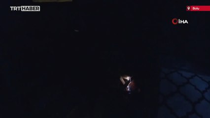 Çadırın yanına gelen ayı korkuttu: O anlar kamerada