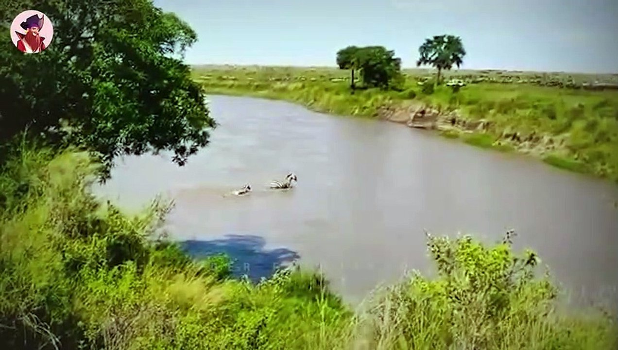 15 unbarmherzige Momente, in denen Babytiere angegriffen und getötet werden