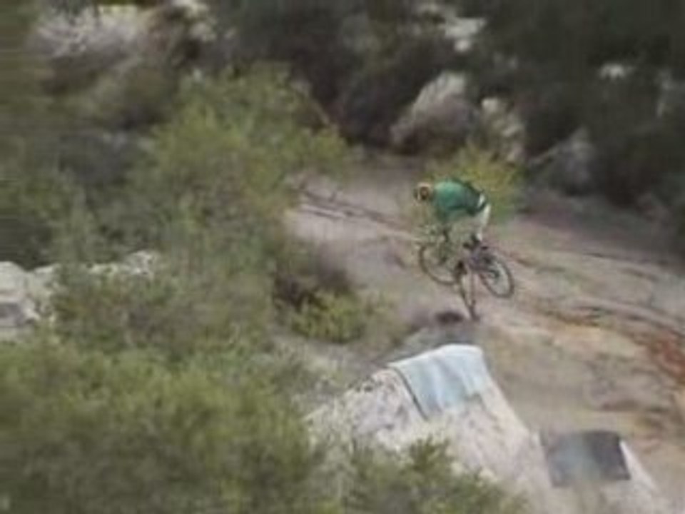 Freeride for wild riders