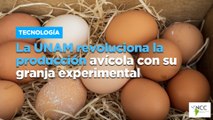 La UNAM revoluciona la producción avícola con su granja experimental