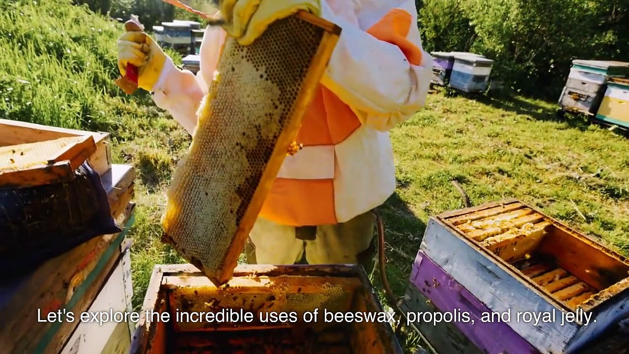 The Amazing World of Bee