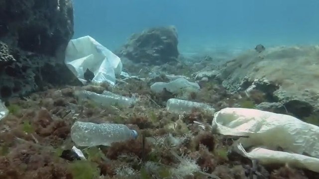 World’s first ‘plastic forecast’ predicts microplastics downpour in Paris