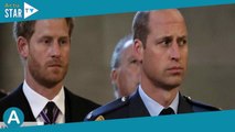 Harry et William en guerre : ce simple mot qui a tout déclenché