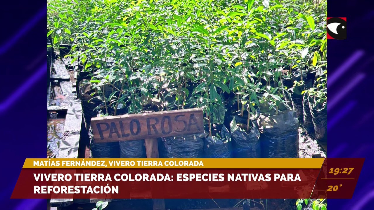Sala Cinco – Programa completo 23/05/23