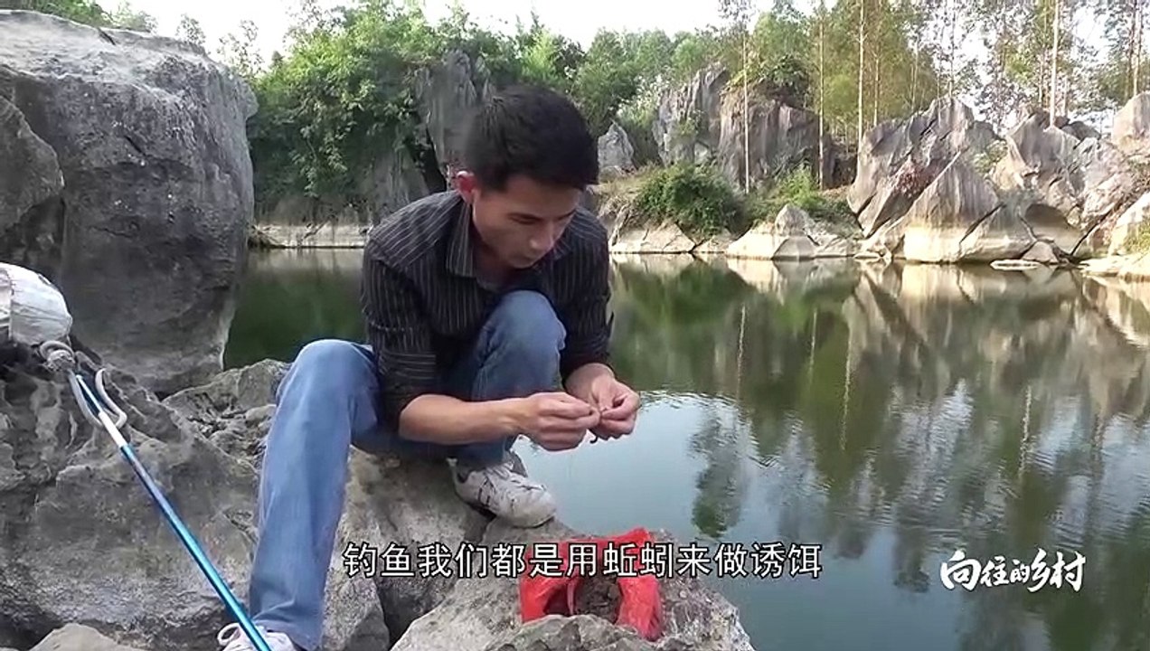 真实的农村生活，河边钓鱼，现场搭灶台，现钓现吃【壮乡小莫】