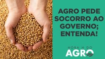 Agro pede ajuda ao governo após queda dos grãos; margens dos agricultores chegam a zero  | HORA H