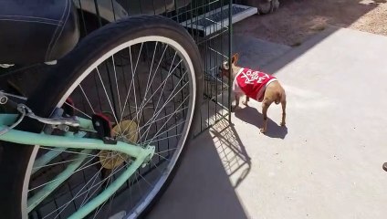 Make Sure Your Propane Tank Is Full With This Easy Gauge Check . (1)