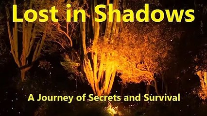 Lost in Shadows