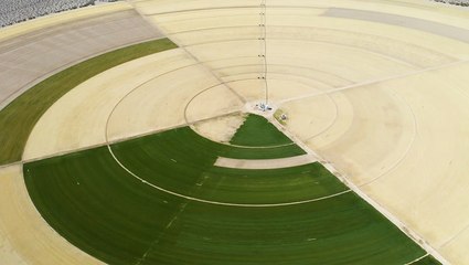 Grass is the most wasteful crop in America. Should we ban it?