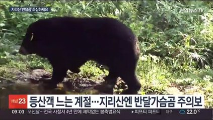 "니가 왜 거기서 나와?"…지리산 반달곰 주의보