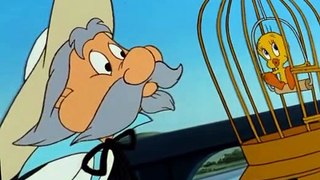 The Sylvester Tweety Mysteries The Sylvester & Tweety Mysteries E001 – The Cat Who Knew Too Much