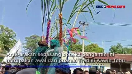 Melihat Tradisi Kawin Tebu di Cirebon Sambut Musim Panen