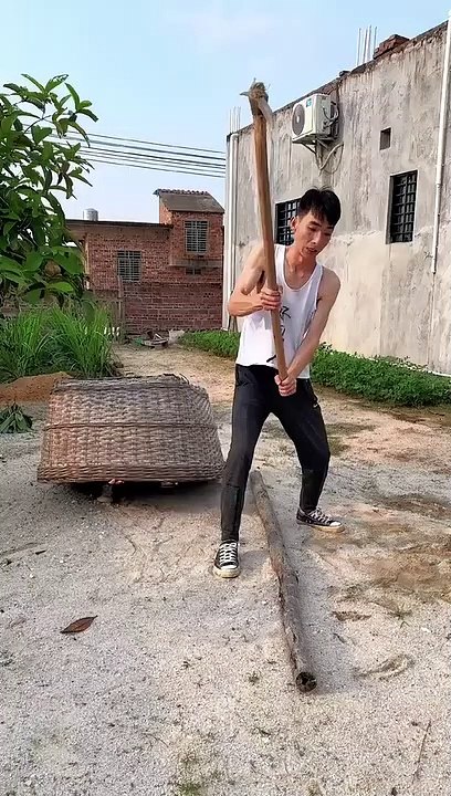 funny-video-2023_24