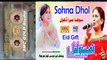 Naseebo Lal - Sohna DHOL - Latest Saraiki & Punjabi Song | ( Audio 2023 )