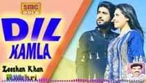 Zeeshan Khan Rokhri - Dil Kamla - Latest Saraiki Song - Audio 2023