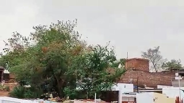 Video : झांसी में अचानक बदला मौसम का मिजाज, तेज आंधी के साथ आसमान में छाए बादल