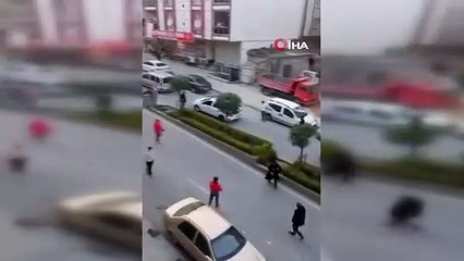 Kavgayı izlerken kazaya neden oldu