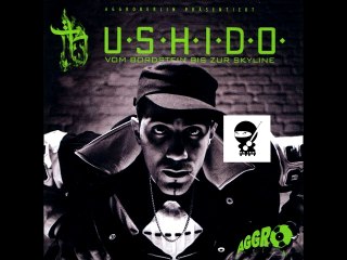 Bushido - Elektrofaust 🎶 | Hit Song & Lyrics