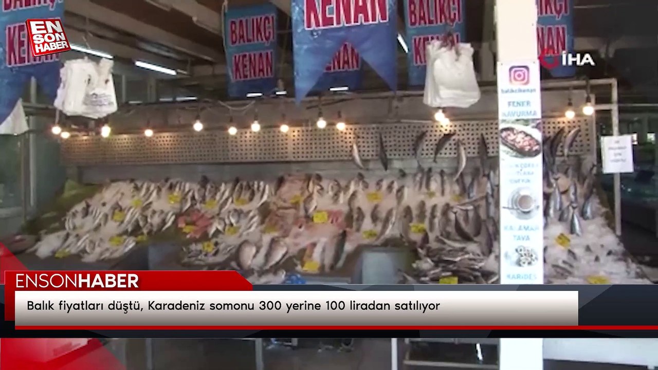 Balık fiyatları düştü, Karadeniz somonu 300 yer...