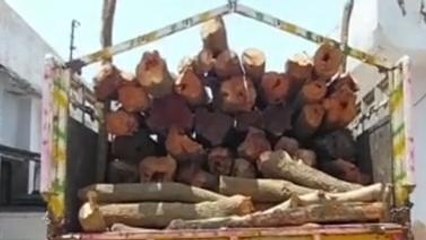 रामपुर: ख़ाकी के शिकंजे में लकड़ी माफ़िया, कब्जे से मिला "खैर" का जखीरा