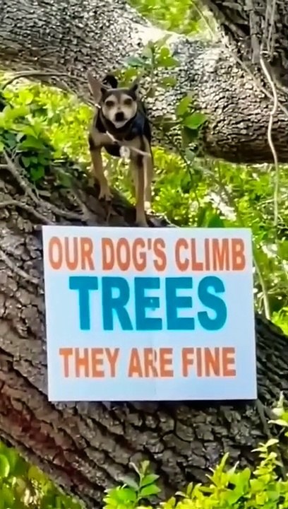 Just some memes i found on Discord  #6