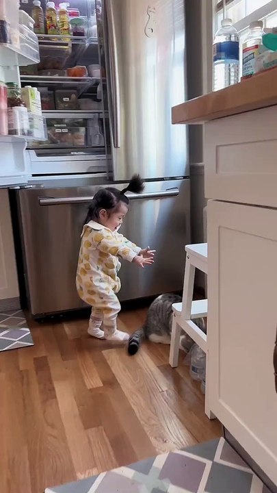 Cat Playing With Little Baby | Animals Funny Moments | Cute Pets | Funny Animals #animals #pets #cat