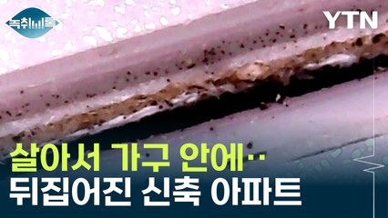 신축 아파트 붙박이장에..."어마어마한 양"  [Y녹취록] / YTN