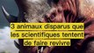 3 animaux disparus que les scientifiques tentent de faire revivre !