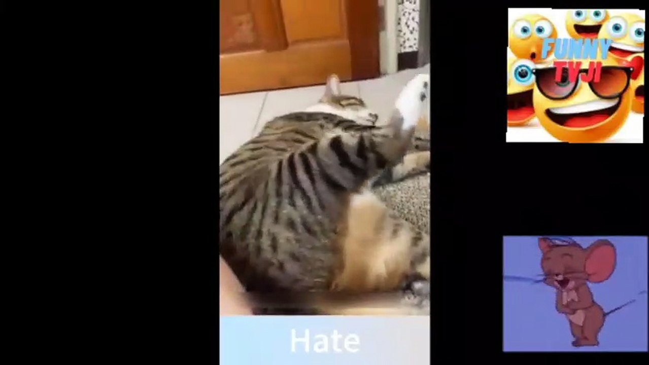 FUNNY ANIMALS VIDEO 88