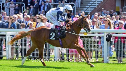 May Festival racing at Goodwood in pictures