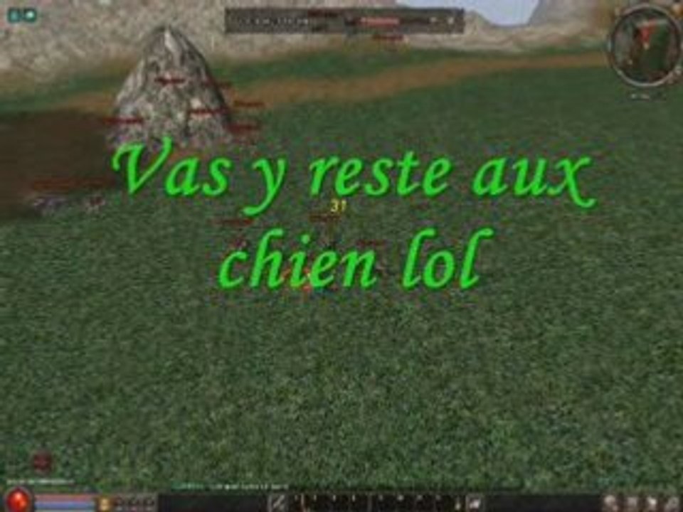 Bug invisible reste aux chiens