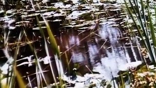 Swamp Thing: The Series Swamp Thing: The Series S03 E017 The Return of LaRoche