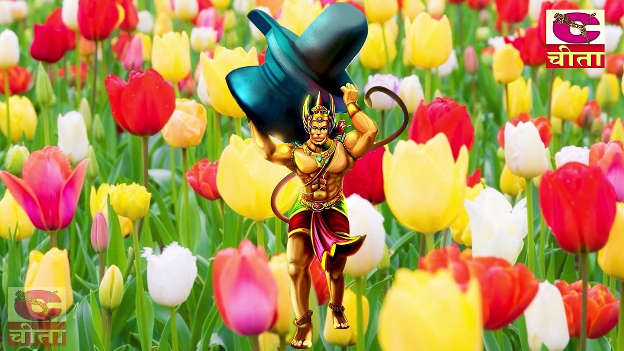 बाला जी कीर्तन || हनुमान तेरी माया का || यो भेद किसे ने नै पाया || नरेन्द्र कौशिक || Balaji Bhajan